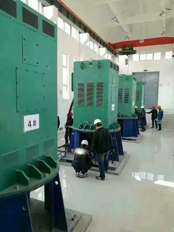 Y5602-6某污水处理厂使用我厂的立式高压电机安装现场