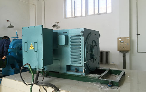 Y5602-6某水电站工程主水泵使用我公司高压电机生产厂家