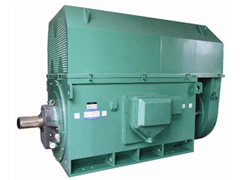 Y5602-6YKK系列高压电机生产厂家